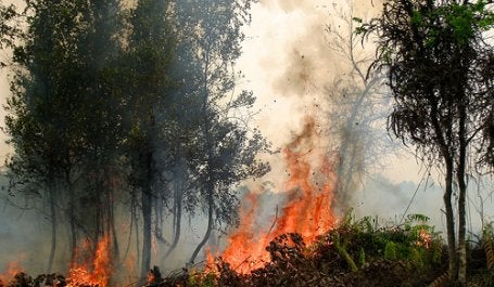 A forest fire in Central Kalimantan, Indonesia, in September of 2011. Photo credit: Rini Sulaiman/Norwegian Embassy for Center for International Forestry Research