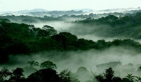 Photo credit: Matthew Steil/WRI