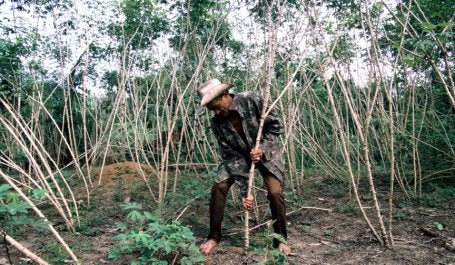 Conducting an analysis of governance strengths and weaknesses can be a critical first step towards advancing forest governance reforms. Photo credit: World Bank/Flickr