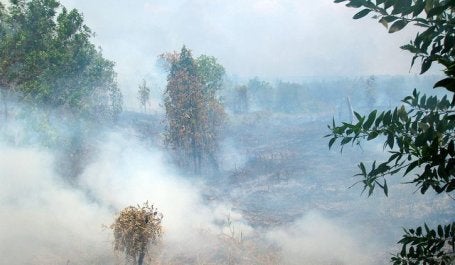 Fire in Central Kalimantan, Indonesia. Photo by Rini Sulaiman/ Norwegian Embassy for Center for International Forestry Research (CIFOR)