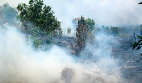Fires in Indonesia are creating haze throughout Southeast Asia. Photo by Rini Sulaiman/ Norwegian Embassy for Center for International Forestry Research (CIFOR)