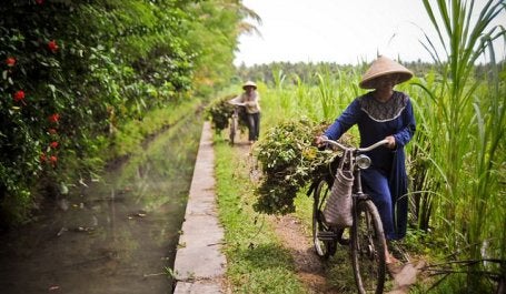 Farmers in Yogyakarta. Indonesia’s government is charting a new, low carbon path to development. Photo by the International Rice Research Institute.