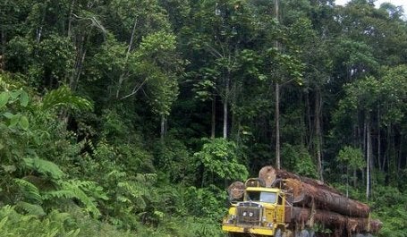 A large portion of Indonesia's emissions come from deforestation and land-use change. Photo by Hari Priyadi/Center for International Forestry Research (CIFOR)