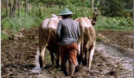 The Jakarta Declaration aims to strengthen rights to environmental information in Indonesia, China, Japan, Mongolia, the Philippines, and Thailand. Photo credit: Luca Bruno/Flickr