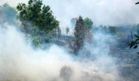Fires burning in Palangkaraya, Central Kalimantan, 2011. Credit: Rini Sulaiman/Norwegian Embassy