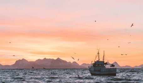 Sustainable, ocean-based investments can yield a number of benefits for economies, communities, businesses and households. Photo by Knut Troim/Unsplash