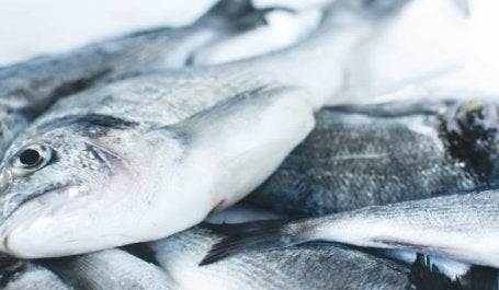 Over a third of fish stocks are already overfished. Photo credit: Jakub Kapusnak/Unsplash