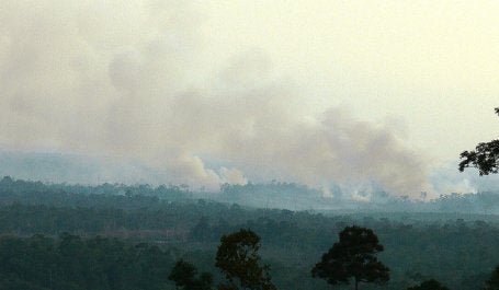 Kebakaran hutan di Kalimantan Barat, Indonesia. Sumber Foto: Billy Gabriel/Flickr