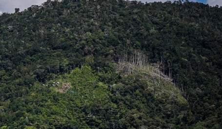 Ilustrasi penebangan di tengah hutan. Kredit foto: Yusuf Ahmad untuk WRI Indonesia