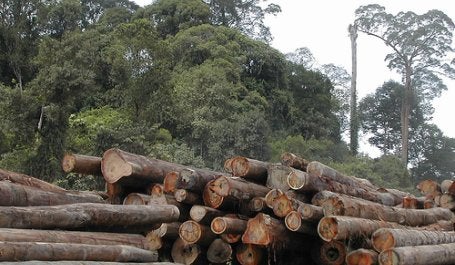 Forest fragmentation is caused by the expansion of logging, mining and development activities. Photo credit: Angela Sevin, Flickr