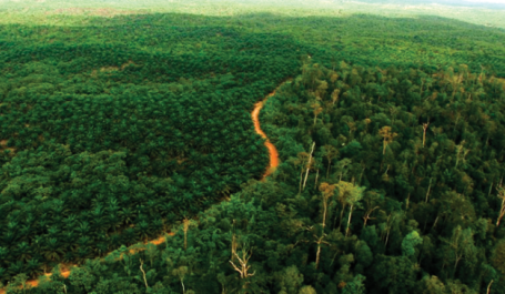 Photo Credit: Films4Conservation