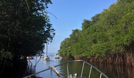 Sustainable management of mangroves is utilized as an ecotourism in Nusa Lembongan, Bali. Photo credit: Ines Ayostina/WRI Indonesia