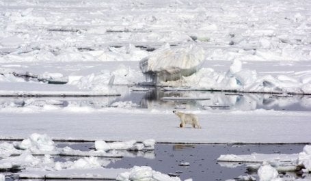 The world is way off track from its agreed-upon goal of limiting warming to 1.5˚C-2˚C (2.7-3.6˚ F). Photo by Chistopher Michel/Wikimedia Commons