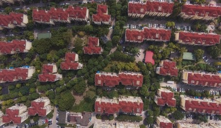 Pola distribusi pohon dilihat dari foto udara. Kredit foto: Vista Wei/Unsplash