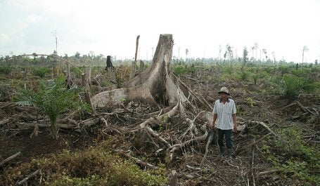 A comprehensive, proactive fires prevention plan, with a special emphasis on key subdistricts in Riau Province—involving government, business, and NGOs—can help ensure that Indonesia’s forests continue generating economic, social, and environmental benefits for years to come. Photo credit: Wakx, Flickr 2007