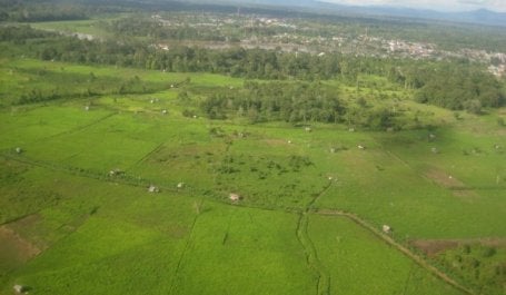 In May, 2011, Indonesia put into effect a two-year moratorium on the award of new concessions for exploitation of natural forests and peat lands. Photo credit: WRI