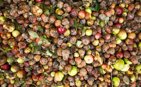 food waste