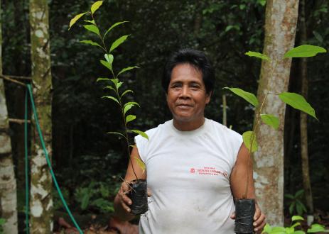 The Pesalat Reforestation Project in Central Kalimantan, Indonesia