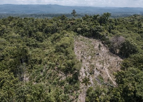 Lanscape Papua