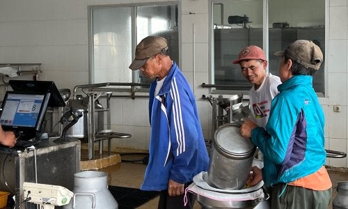 Gambar 1. Proses Penyetoran Susu di Milk Collection Point. Foto diambil oleh Azarine Putri/WRI Indonesia (2024) 