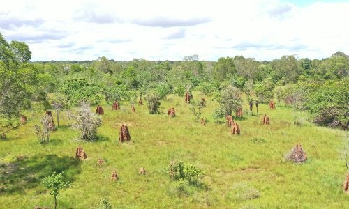 Padang Sabana
