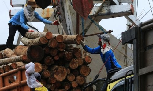 Workers in Jakarta unload timber from a ship. Indonesia is using new technologies to help trace wood back to its origin. Image by Yamtono_Sardi/iStock