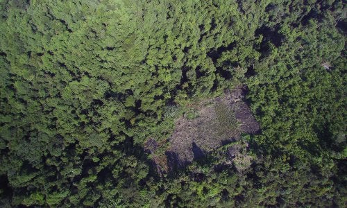 A clearing in the Republic of Congo as seen by a drone.p