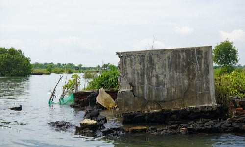 Tembok tanggul tambak udang di Banyuwangi