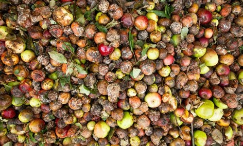 food waste