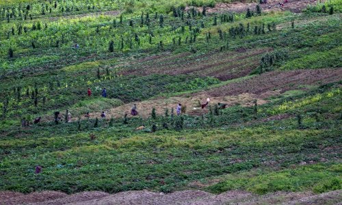 Spatial di Wamena
