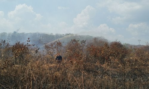haze