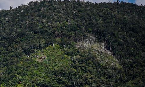 Ilustrasi penebangan di tengah hutan. Kredit foto: Yusuf Ahmad untuk WRI Indonesia