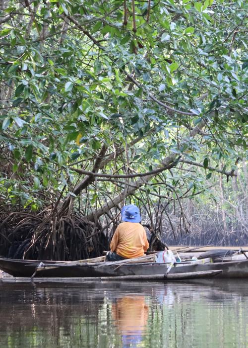Fishermen on a boat in a mangrove forest.
