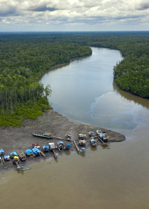 papua river