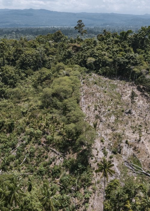 Lanscape Papua