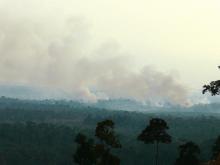 Forest fires in West Kalimantan, Indonesia. Photo credit: Billy Gabriel/Flickr