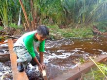 Abdul Manan, fixing the canal blocks when President Joko Widodo visited Sungai Tohor village in Riau, at end of November 2014. Villagers tried to prevent the water from flowing out by placing blocks in the canal. Photo credit: Indra Nugraha/Mongabay Indonesia