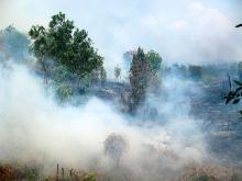 Fires in Indonesia are creating haze throughout Southeast Asia. Photo by Rini Sulaiman/ Norwegian Embassy for Center for International Forestry Research (CIFOR)