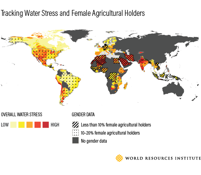 <p>Figure 1: Female agricultural holders and overall water-stress (Data source: Gender and Land Rights Database, Food and Agriculture Organization of the United Nations; Aqueduct Water Risk Atlas, World Resources Institute) Graphic by Samantha Kuzma</p>
