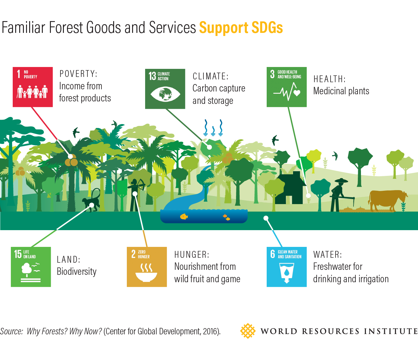 Hutan Dan Target Pembangunan Berkelanjutan Sdg Wri Indonesia