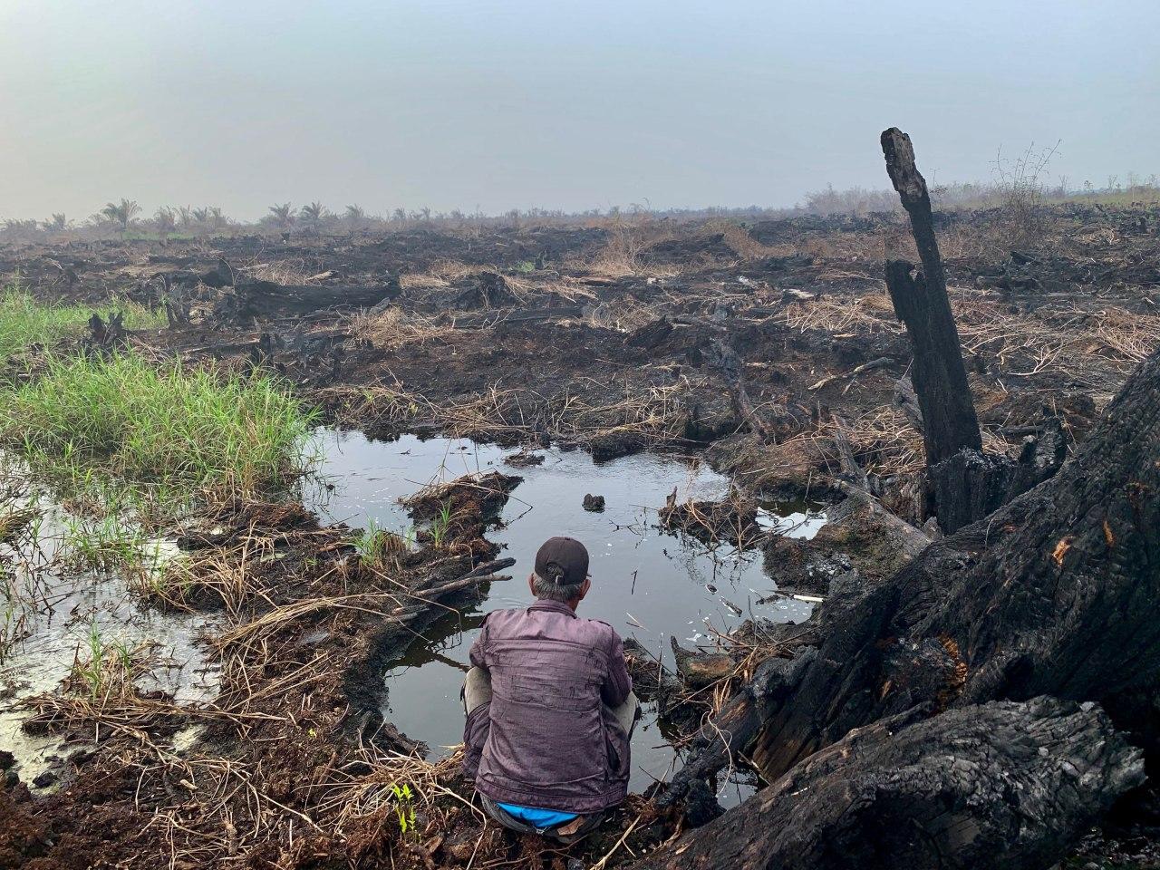<p>Kebakaran lahan di Kabupaten Pali, Sumatera Selatan. Foto oleh Dede Sulaeman/WRI Indonesia</p>