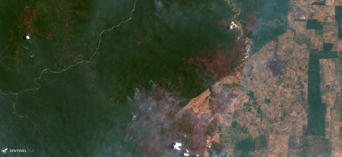 <p>Citra satelit menunjukkan kawasan hutan yang terbakar (warna cokelat dan merah) di wilayah adat Kayapó. Gambar dari Sentinel Hub: 26/9/2017</p>
