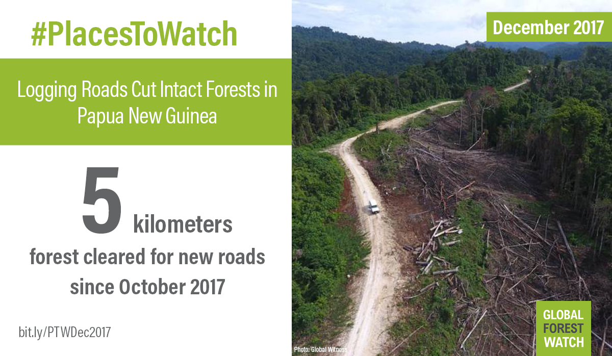 <p>New logging roads extend across East New Britain Province, Papua New Guinea. Photo by Global Witness, November 2017</p>
